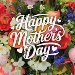 Read more about the article The Mothers of Times Squares